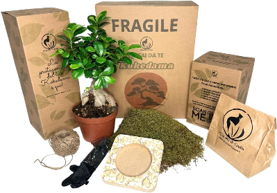 Kit para aprender a como preparar kokedamas 