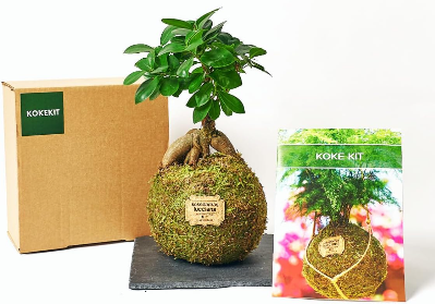 Kit para aprender a como elaborar kokedamas